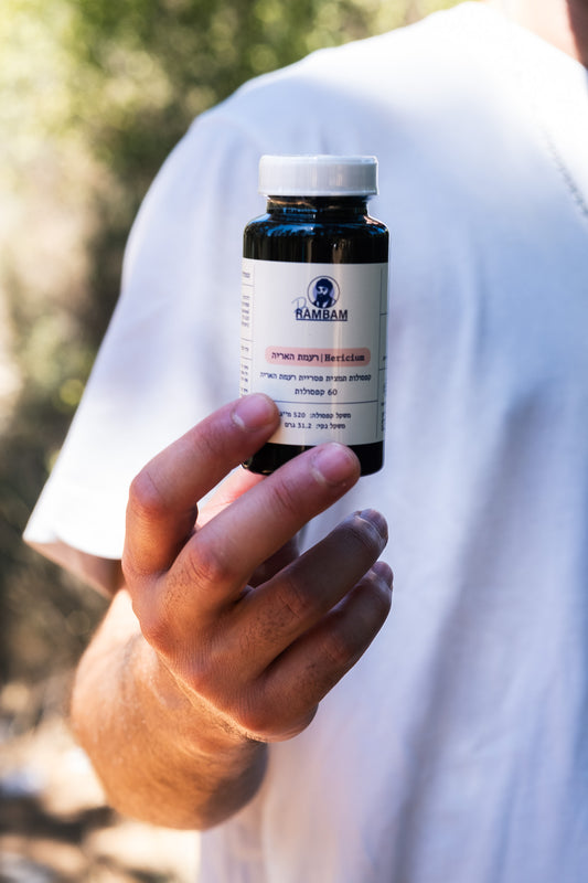 פטריית רעמת האריה לתמיכה במיקוד, זיכרון וחדות מחשבתית