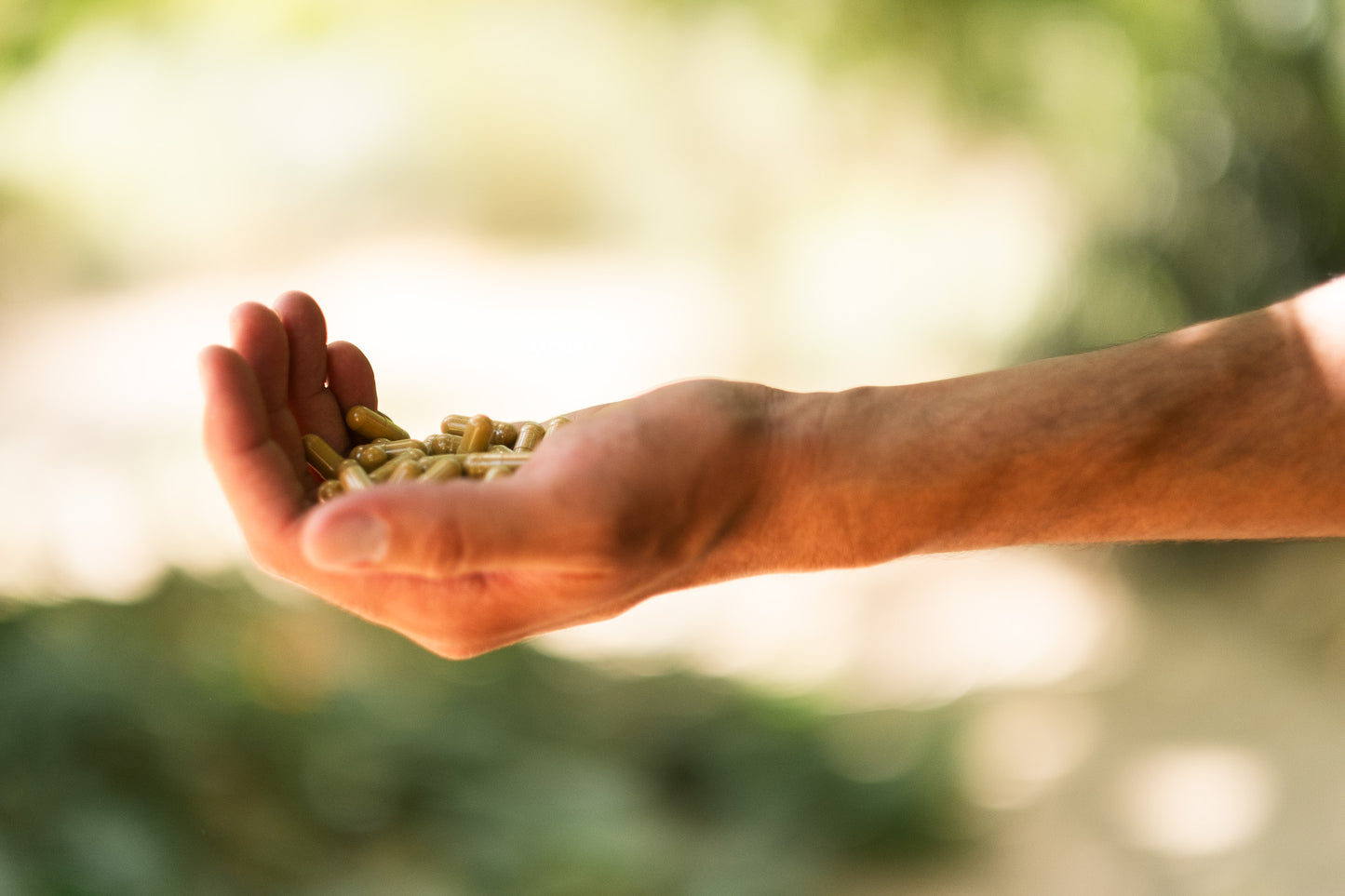 טרקי טייל – לתמיכה במערכת העיכול