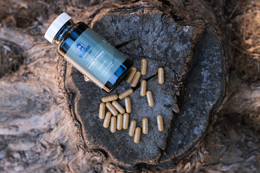 RestNest – צמחי מרפא לשלווה, רוגע ואיזון טבעי