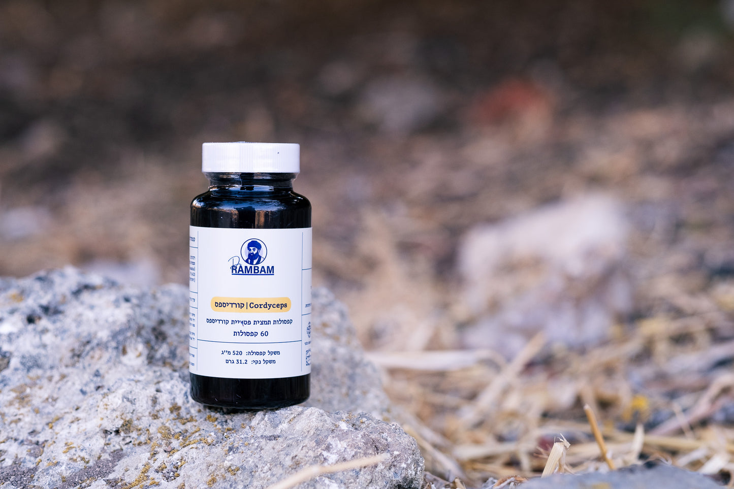 פטריית קורדיספס – לתמיכה באנרגיה, סיבולת וחיוניות