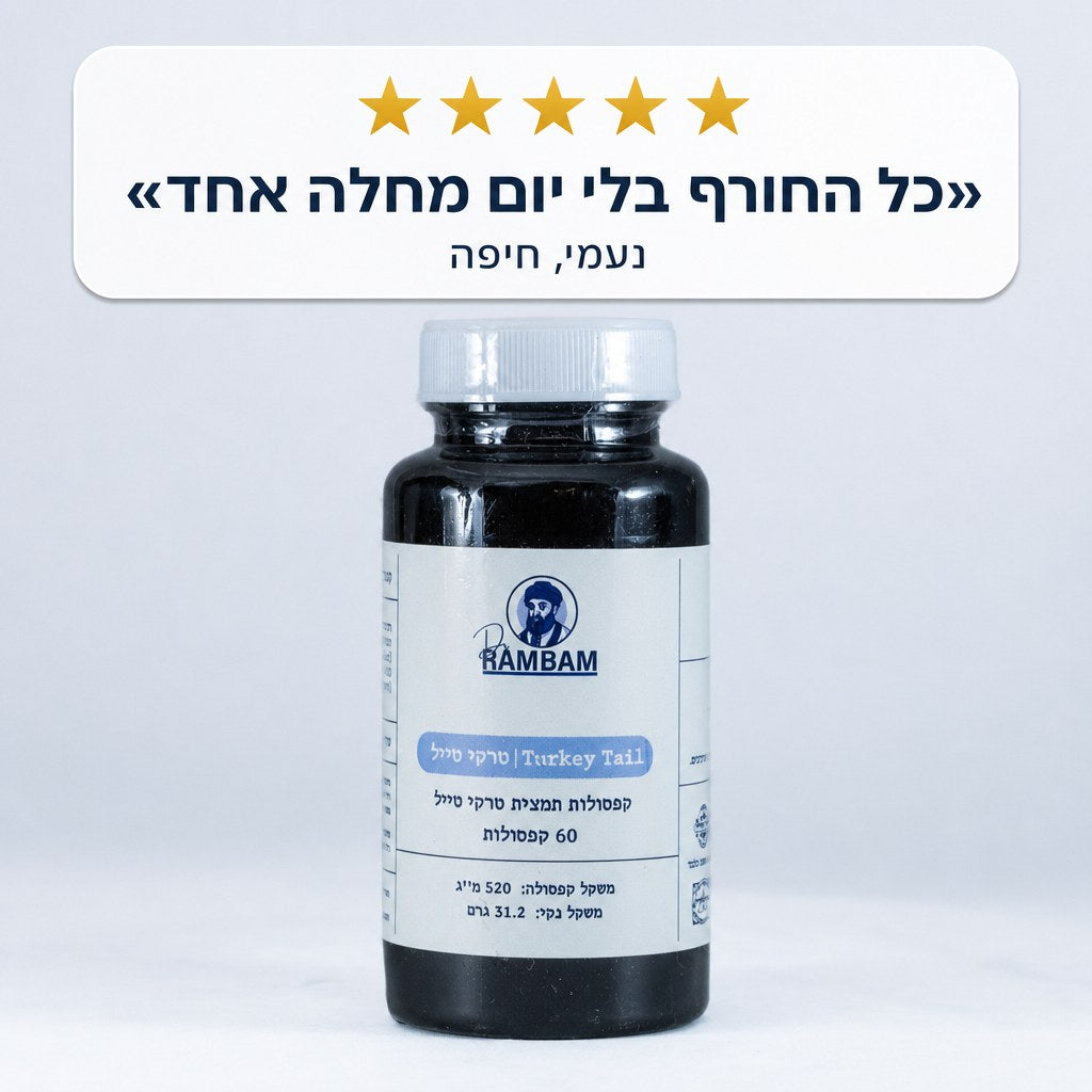 ביקורת 5 כוכבים, כל החורף בלי יום מחלה