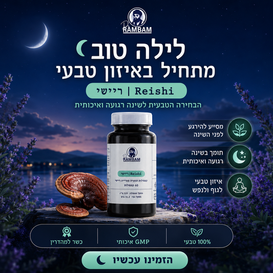 פטריית ריישי, רגיעה, איזון וחיזוק טבעי למערכת החיסון