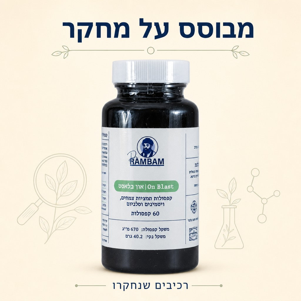 מבוסס על מחקר - רכיבים שנחקרו