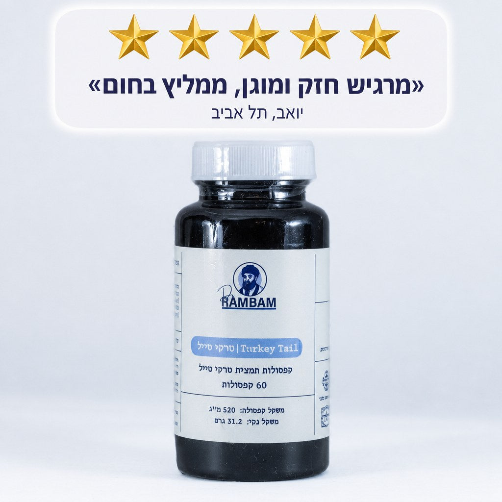 ביקורת 5 כוכבים, מרגיש חזק ומוגן