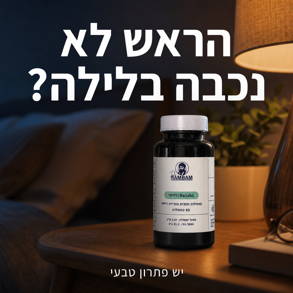 ריישי דר רמבם - הראש לא נכבה בלילה