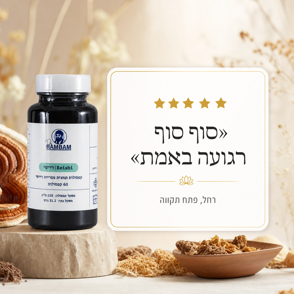 ריישי דר רמבם - ביקורת לקוחה